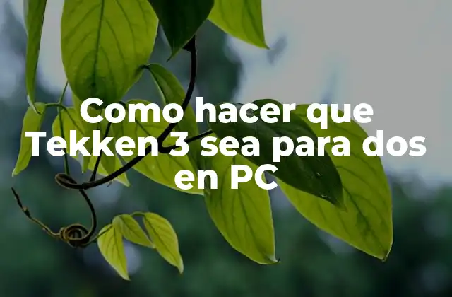 Como Hacer que Tekken 3 Sea para Dos en Pc 2 Tekken 3 para PC: ¿Qué es y para qué sirve?