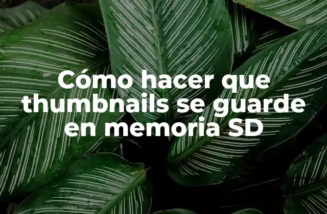 Cómo Hacer que Thumbnails Se Guarde en Memoria Sd