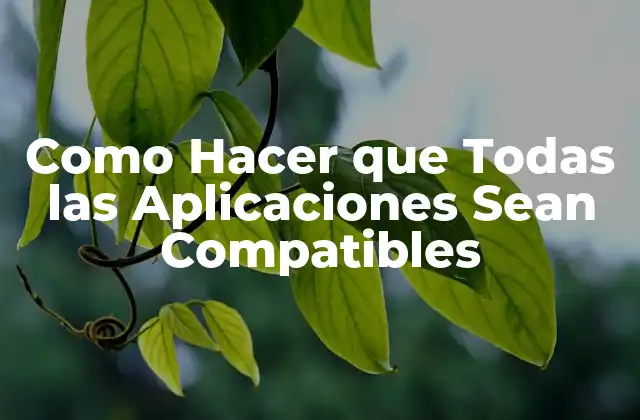 Como Hacer que Todas las Aplicaciones Sean Compatibles