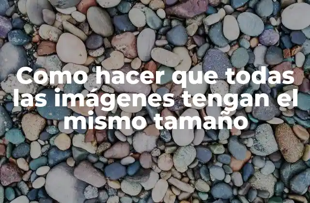 Como Hacer que Todas las Imágenes Tengan el Mismo Tamaño