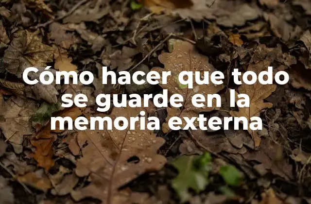 Cómo Hacer que Todo Se Guarde en la Memoria Externa