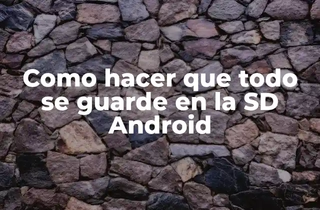 Como Hacer que Todo Se Guarde en la Sd Android