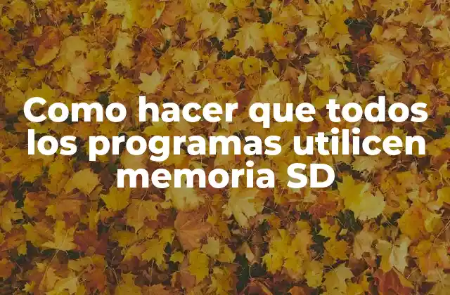 Como Hacer que Todos los Programas Utilicen Memoria Sd