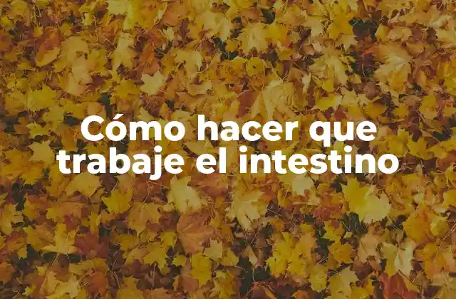 Cómo Hacer que Trabaje el Intestino