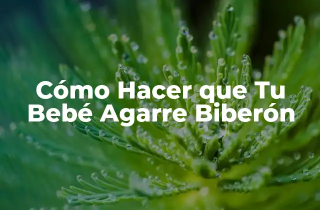 Cómo Hacer que Tu Bebé Agarre Biberón 2 Cómo Hacer que Tu Bebé Agarre Biberón