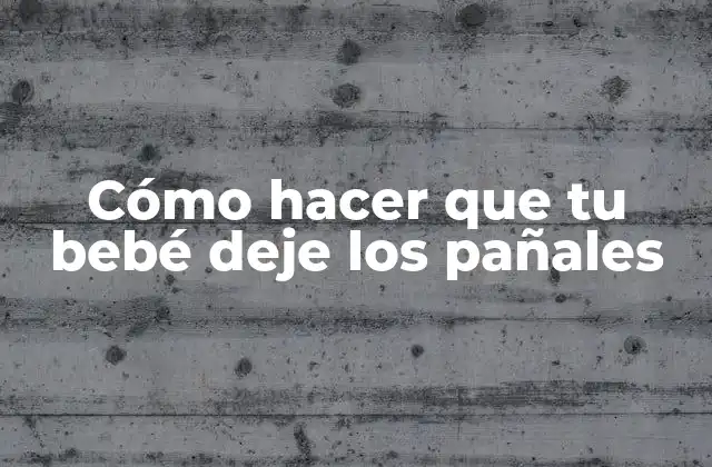 Cómo Hacer que Tu Bebé Deje los Pañales