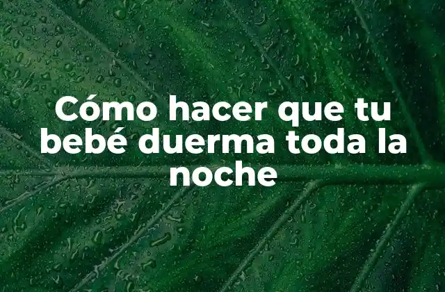 Cómo Hacer que Tu Bebé Duerma Toda la Noche