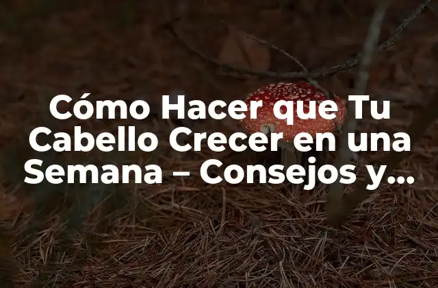 Cómo Hacer que Tu Cabello Crecer en una Semana – Consejos y Trucos