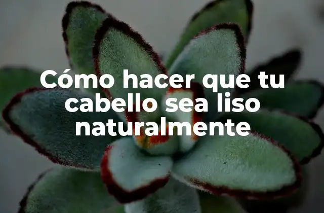 Cómo Hacer que Tu Cabello Sea Liso Naturalmente