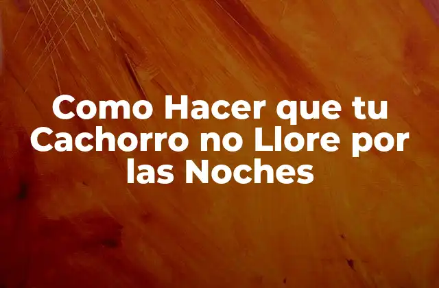 Como Hacer que Tu Cachorro No Llore por las Noches