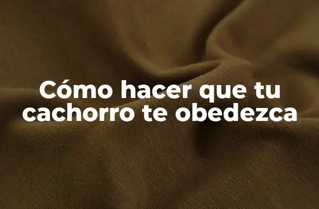 Cómo Hacer que Tu Cachorro Te Obedezca 2 Cómo hacer que tu cachorro te obedezca