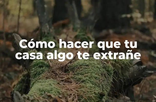 Cómo hacer que tu casa algo te extrañe