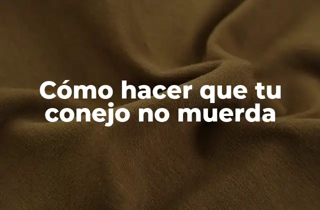 Cómo Hacer que Tu Conejo No Muerda