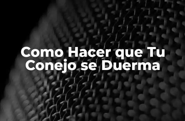 Como Hacer que Tu Conejo Se Duerma 2 ¿Qué es el Sueño en los Conejos y Por Qué es Importante?