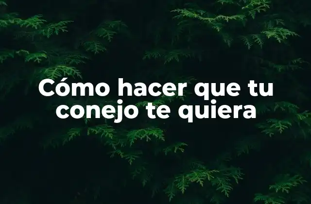 Cómo Hacer que Tu Conejo Te Quiera