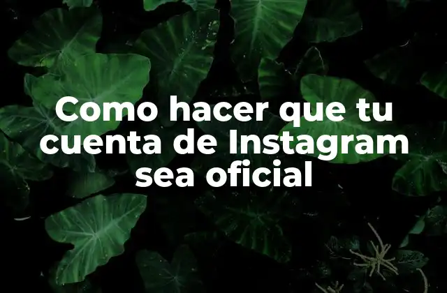 Como Hacer que Tu Cuenta de Instagram Sea Oficial