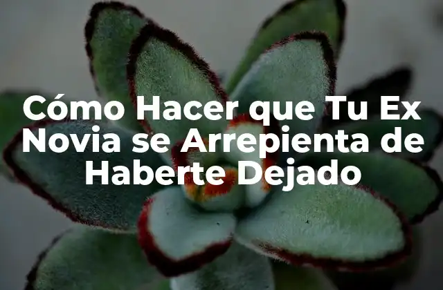 Cómo Hacer que Tu Ex Novia Se Arrepienta de Haberte Dejado