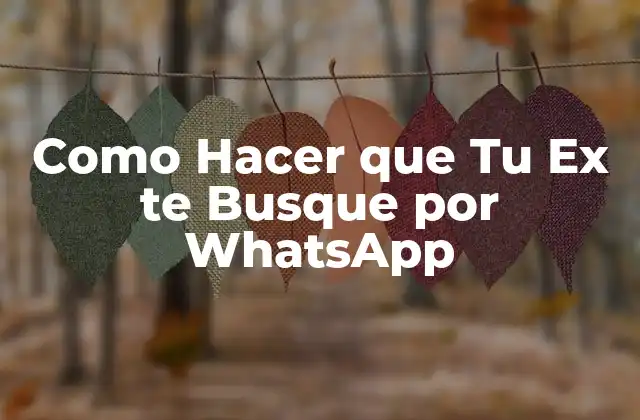 Como Hacer que Tu Ex Te Busque por Whatsapp