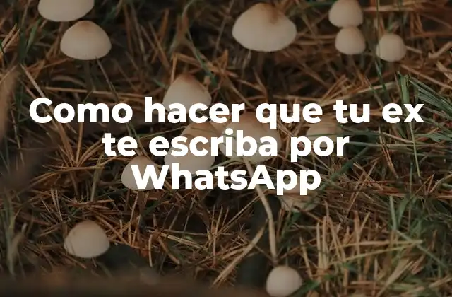 Como Hacer que Tu Ex Te Escriba por Whatsapp