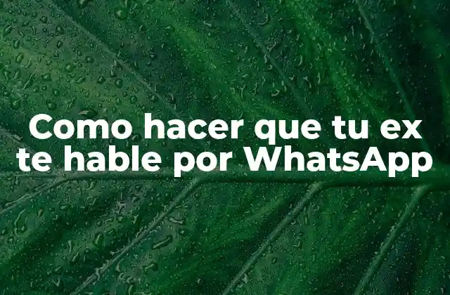 Como Hacer que Tu Ex Te Hable por Whatsapp