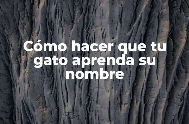 Cómo Hacer que Tu Gato Aprenda Su Nombre