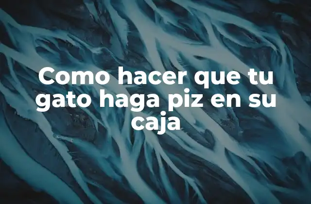 Como Hacer que Tu Gato Haga Piz en Su Caja