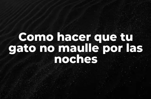 Como Hacer que Tu Gato No Maulle por las Noches