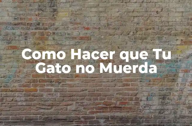 Como Hacer que Tu Gato No Muerda