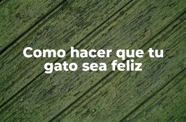 Como Hacer que Tu Gato Sea Feliz