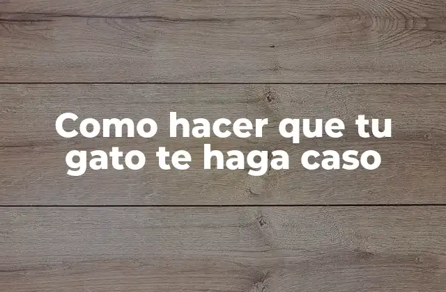 Como Hacer que Tu Gato Te Haga Caso