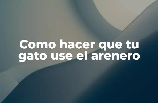 Como Hacer que Tu Gato Use el Arenero