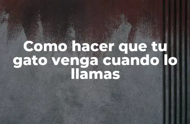 Como Hacer que Tu Gato Venga Cuando Lo Llamas
