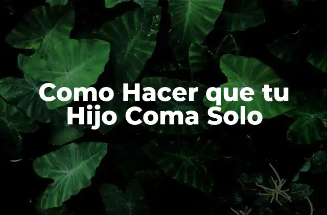 Como Hacer que Tu Hijo Coma Solo 2 ¿Qué es Comer Solo y por Qué es Importante?