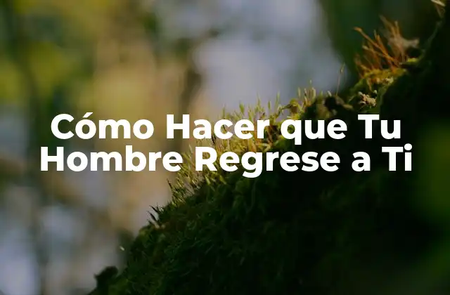 Cómo Hacer que Tu Hombre Regrese a Ti