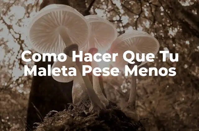 Como Hacer que Tu Maleta Pese Menos