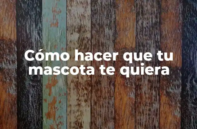 Cómo Hacer que Tu Mascota Te Quiera