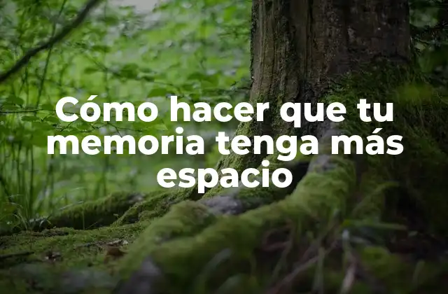 Cómo Hacer que Tu Memoria Tenga Más Espacio