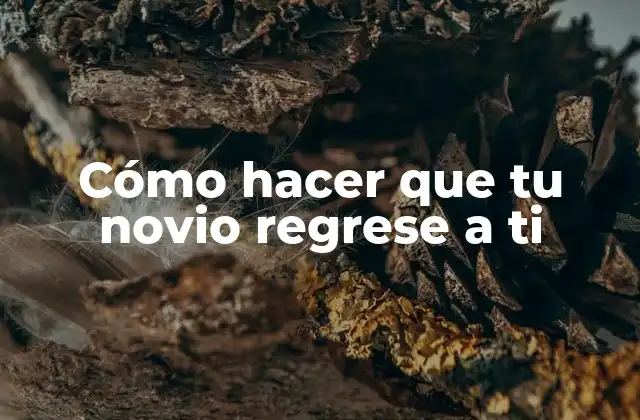 Cómo Hacer que Tu Novio Regrese a Ti