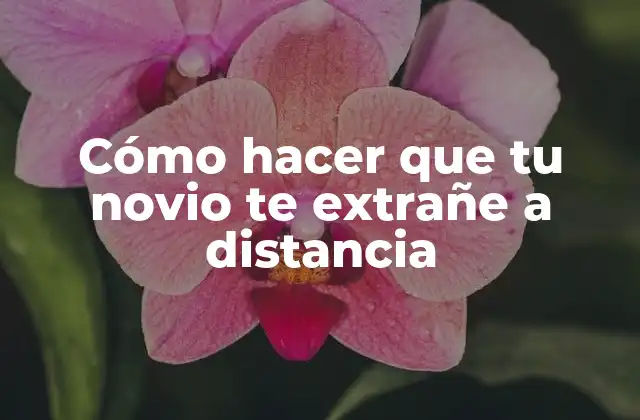 Cómo Hacer que Tu Novio Te Extrañe a Distancia