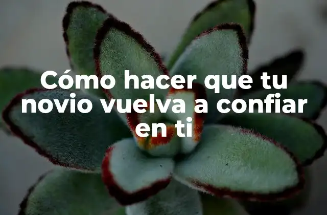 Cómo Hacer que Tu Novio Vuelva a Confiar en Ti