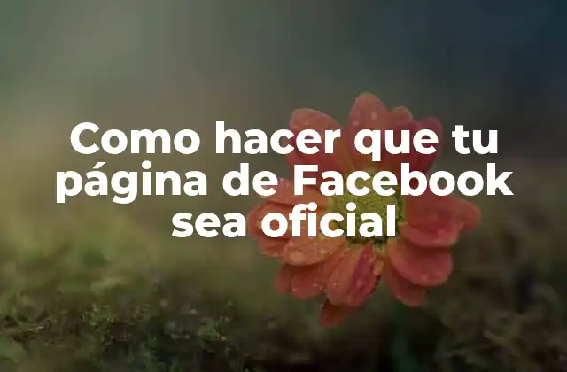 Como Hacer que Tu Página de Facebook Sea Oficial
