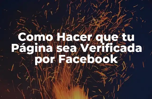 Como Hacer que Tu Página Sea Verificada por Facebook