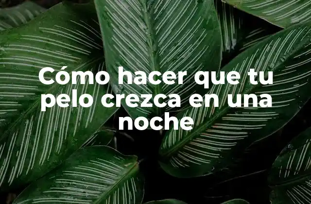 Cómo Hacer que Tu Pelo Crezca en una Noche
