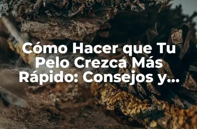 Cómo Hacer que Tu Pelo Crezca Más Rápido: Consejos y Trucos Naturales