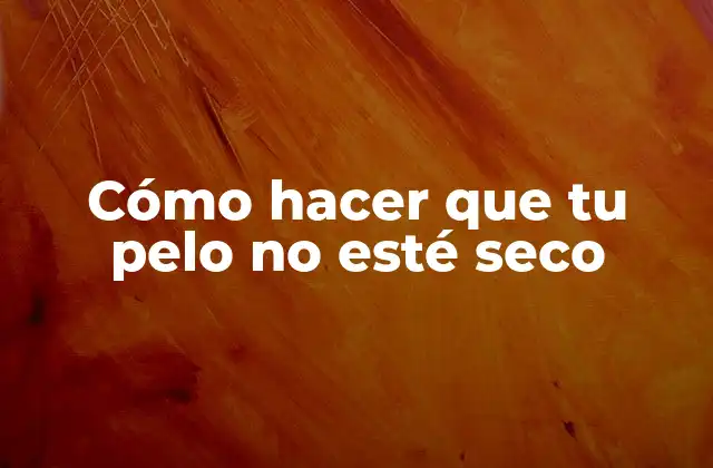 Cómo Hacer que Tu Pelo No Esté Seco