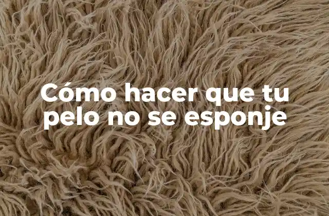 Cómo Hacer que Tu Pelo No Se Esponje