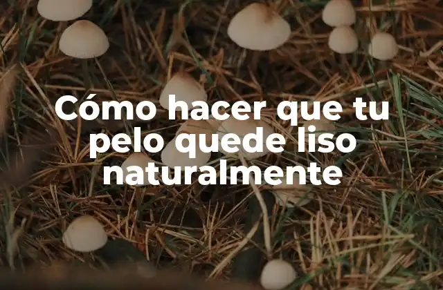 Cómo Hacer que Tu Pelo Quede Liso Naturalmente