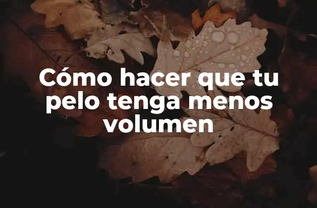 Cómo Hacer que Tu Pelo Tenga Menos Volumen