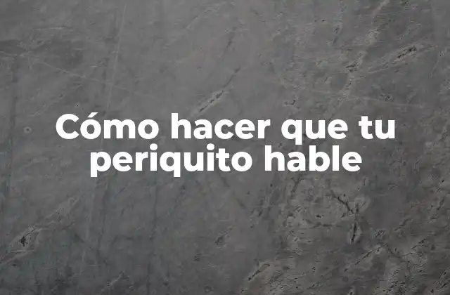 Cómo Hacer que Tu Periquito Hable