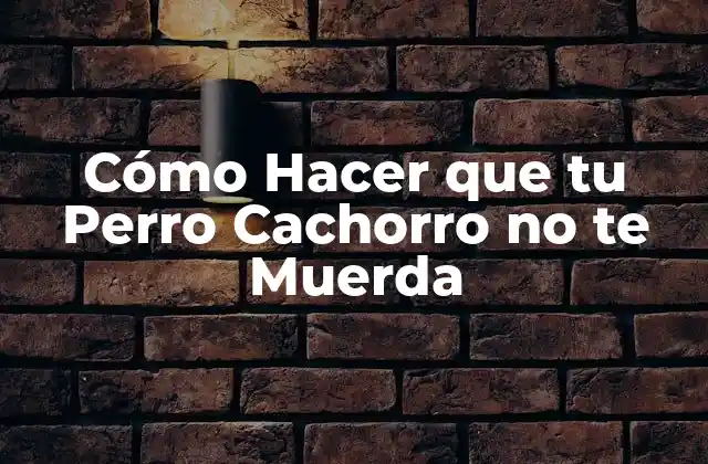 Cómo Hacer que Tu Perro Cachorro No Te Muerda